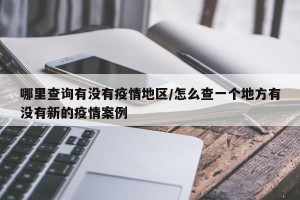 哪里查询有没有疫情地区/怎么查一个地方有没有新的疫情案例