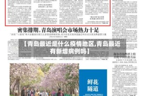 【青岛最近是什么疫情地区,青岛最近有新增病例吗】