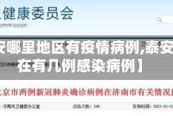 【泰安哪里地区有疫情病例,泰安市现在有几例感染病例】