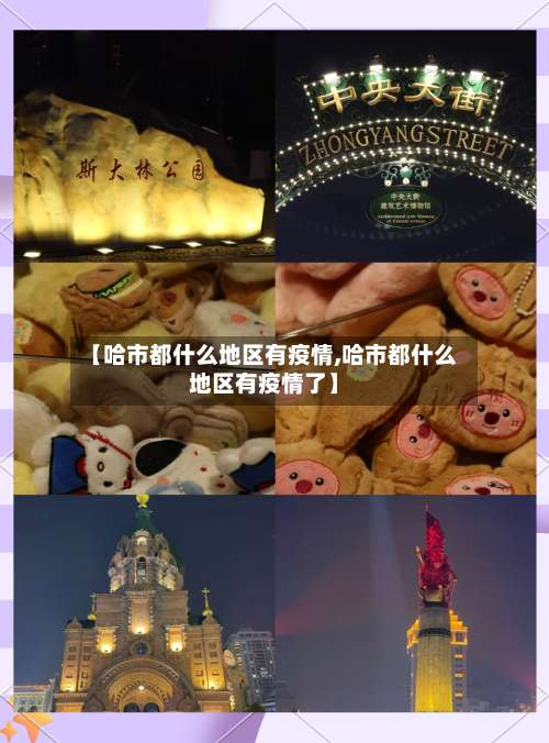 【哈市都什么地区有疫情,哈市都什么地区有疫情了】-第2张图片