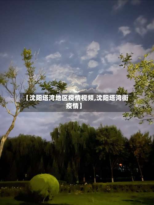 【沈阳塔湾地区疫情视频,沈阳塔湾街疫情】-第1张图片