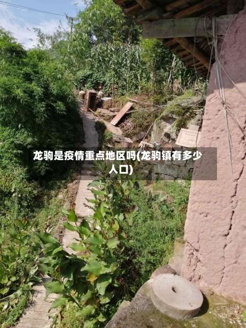 龙驹是疫情重点地区吗(龙驹镇有多少人口)-第3张图片