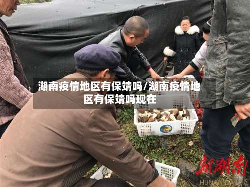 湖南疫情地区有保靖吗/湖南疫情地区有保靖吗现在-第1张图片