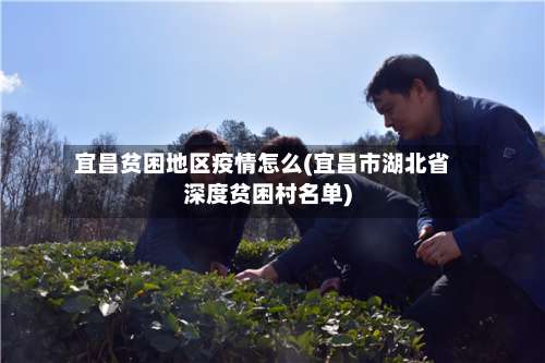 宜昌贫困地区疫情怎么(宜昌市湖北省深度贫困村名单)-第1张图片