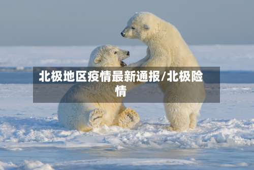北极地区疫情最新通报/北极险情-第2张图片